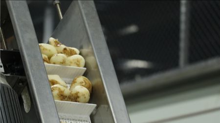 ৫. স্লাইসিং এম/সি এর জন্য ফিডিং কনভেয়র